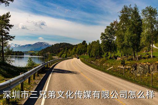 深圳市三兄弟文化傳媒有限公司怎么樣