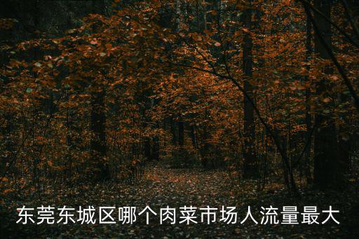 東莞東城區(qū)哪個(gè)肉菜市場人流量最大