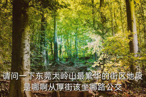 請問一下東莞大嶺山最繁華的街區地段是哪啊從厚街該坐哪路公交
