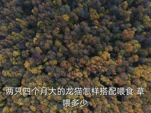 兩只四個月大的龍貓怎樣搭配喂食 草喂多少