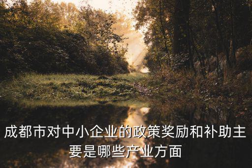 成都市對中小企業的政策獎勵和補助主要是哪些產業方面