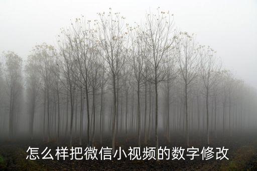 5S視頻怎么編輯數字，可以把視頻里面畫面的文字和數字修改嗎謝謝各位能人解答哦  搜