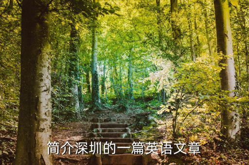 簡介深圳的一篇英語文章