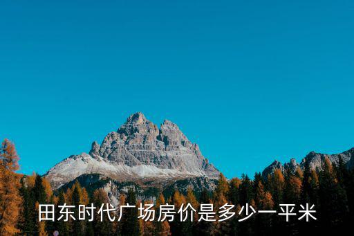 田東時代廣場房價是多少一平米