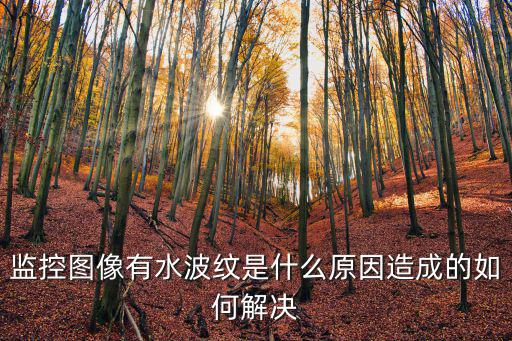 監控圖像有水波紋是什么原因造成的如何解決