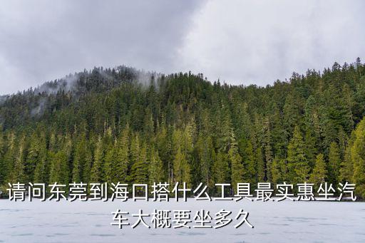 東莞到海口怎么走便宜，請問這段時間從東莞市到海南怎么坐車才實惠一點呢