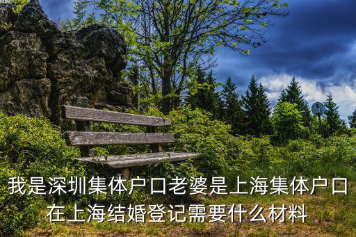 我是深圳集體戶口老婆是上海集體戶口在上海結婚登記需要什么材料