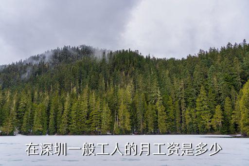 深圳打工工資怎么嗎，在深圳一般工人的月工資是多少