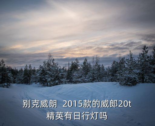 別克威朗  2015款的威郎20t精英有日行燈嗎