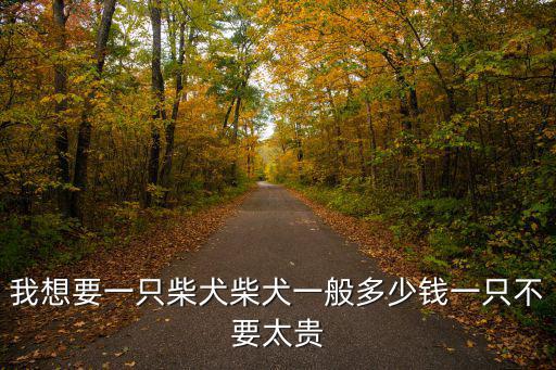 天津柴犬價格是多少錢一只，養一只柴犬需要花費多少價格