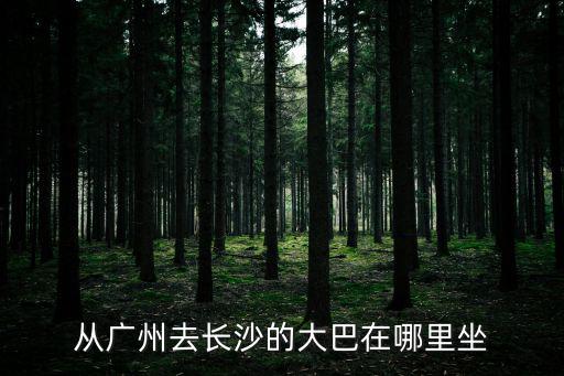 從廣州去長沙的大巴在哪里坐