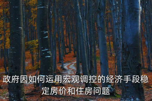 政府因如何運用宏觀調控的經濟手段穩定房價和住房問題