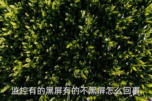 監控有的黑屏有的不黑屏怎么回事