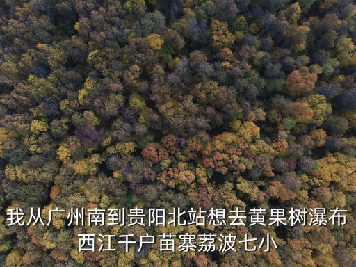 我從廣州南到貴陽北站想去黃果樹瀑布西江千戶苗寨荔波七小