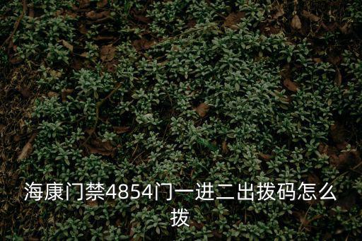 海康威視門禁系統怎么設置，海康的攝像機如何把門禁和燈光控制