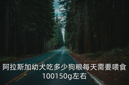 阿拉斯加幼犬吃多少狗糧每天需要喂食100150g左右