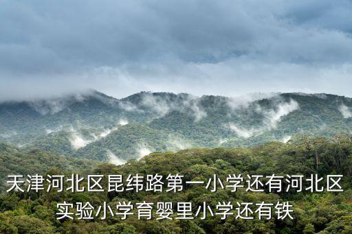 天津河北區昆緯路第一小學還有河北區實驗小學育嬰里小學還有鐵