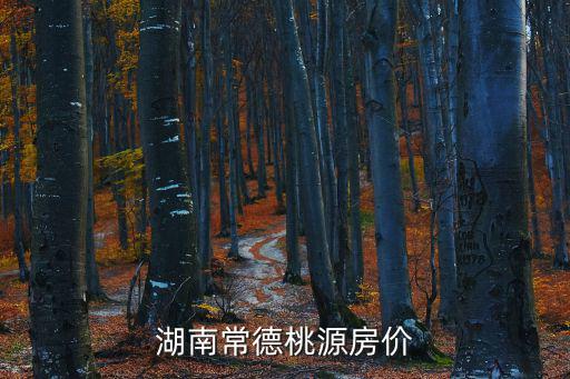 湖南常德桃源房價