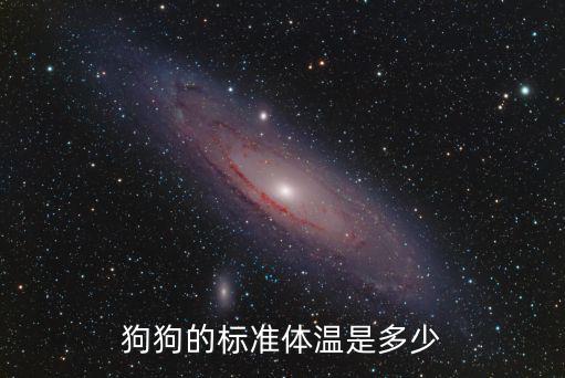 狗狗的標準體溫是多少
