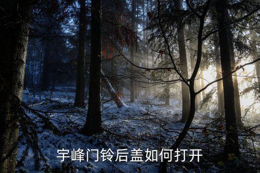 宇峰門鈴后蓋如何打開