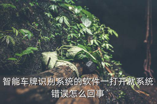 智能車牌識別系統的軟件一打開就系統錯誤怎么回事