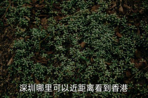 深圳哪里可以近距離看到香港