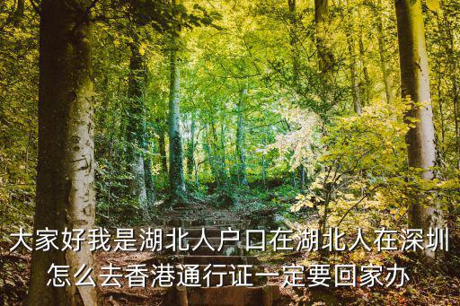 大家好我是湖北人戶口在湖北人在深圳怎么去香港通行證一定要回家辦