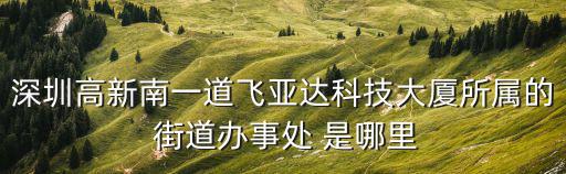 深圳高新南一道飛亞達科技大廈所屬的 街道辦事處 是哪里