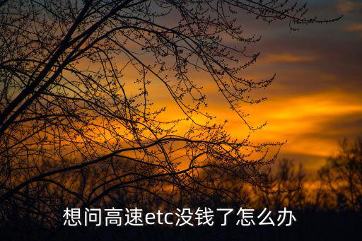 想問高速etc沒錢了怎么辦