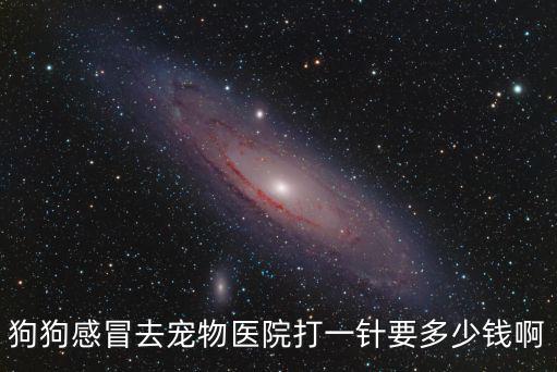 狗狗感冒去寵物醫(yī)院打一針要多少錢啊