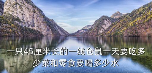 一只45厘米長的一線倉鼠一天要吃多少菜和零食要喝多少水