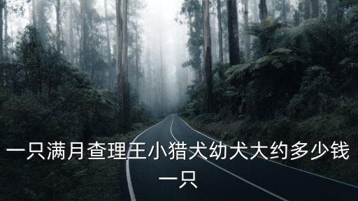小查理王犬多少錢，一只滿月查理王小獵犬幼犬大約多少錢一只