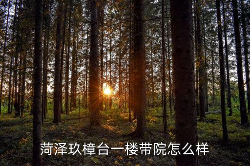菏澤玖樟臺(tái)一樓帶院怎么樣