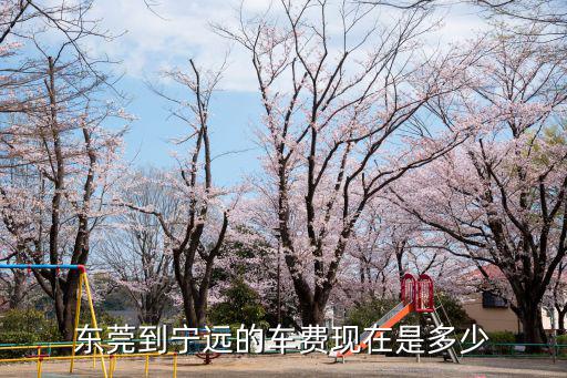 從寧遠到東莞的票價，東莞到寧遠的車費現在是多少
