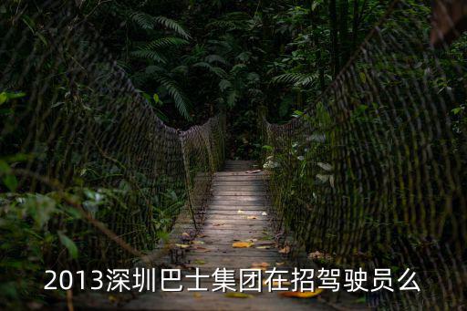 2013深圳巴士集團(tuán)在招駕駛員么