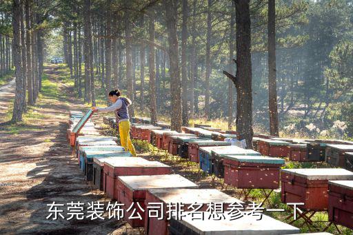東莞裝飾公司排名想參考一下