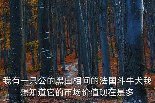 黑色斗牛犬價格多少，我有一只公的黑白相間的法國斗牛犬我想知道它的市場價值現(xiàn)在是多