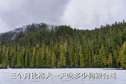 三個(gè)月比格犬一天吃多少狗糧合適