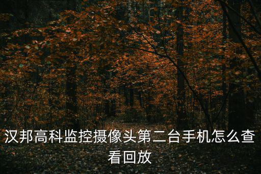 漢邦高科監控攝像頭第二臺手機怎么查看回放