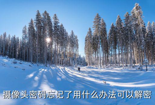 攝像頭密碼怎么重置密碼，攝像頭密碼忘記了用什么辦法可以解密