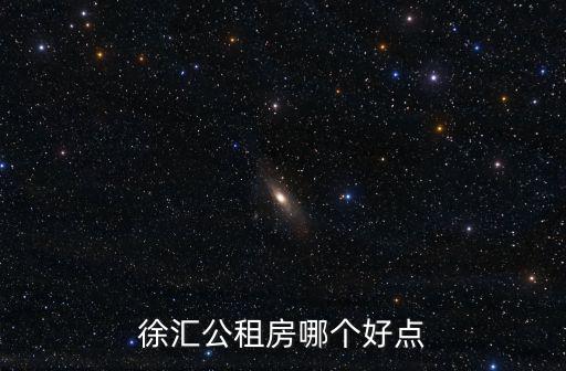 徐匯公租房哪個好點
