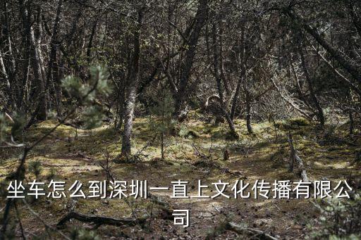 坐車怎么到深圳一直上文化傳播有限公司