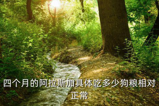四個月的阿拉斯加具體吃多少狗糧相對正常