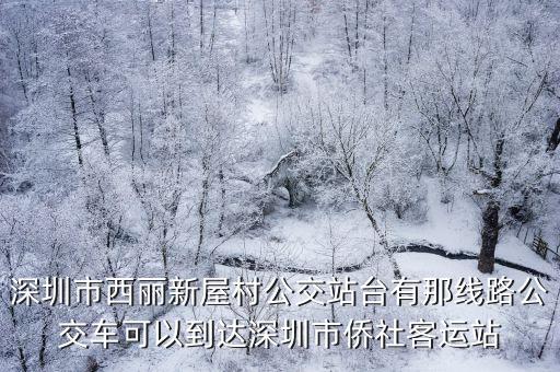 深圳市西麗新屋村公交站臺有那線路公交車可以到達深圳市僑社客運站