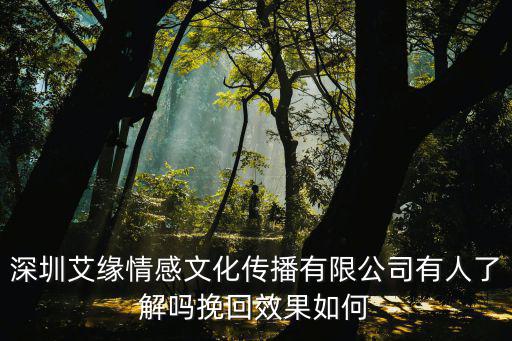 深圳艾緣情感文化傳播有限公司有人了解嗎挽回效果如何