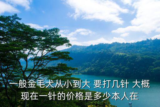 金毛打疫苗一次多少錢，一般金毛犬從小到大 要打幾針 大概現在一針的價格是多少本人在