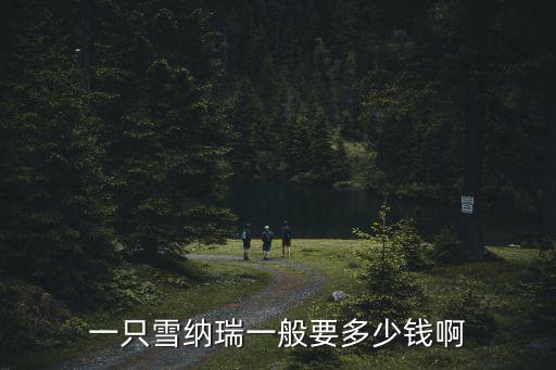 一只雪納瑞一般要多少錢啊
