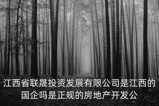 江西省聯晟投資發展有限公司是江西的國企嗎是正規的房地產開發公