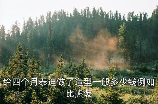 給四個月泰迪做了造型一般多少錢例如比熊裝
