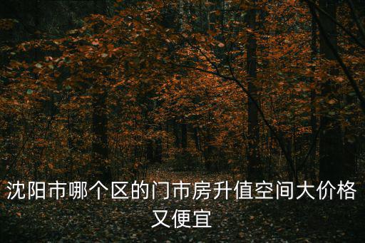 沈陽市哪個區的門市房升值空間大價格又便宜